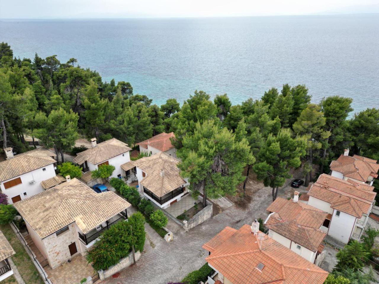 Izabella Sea Side Villa Siviri Bagian luar foto