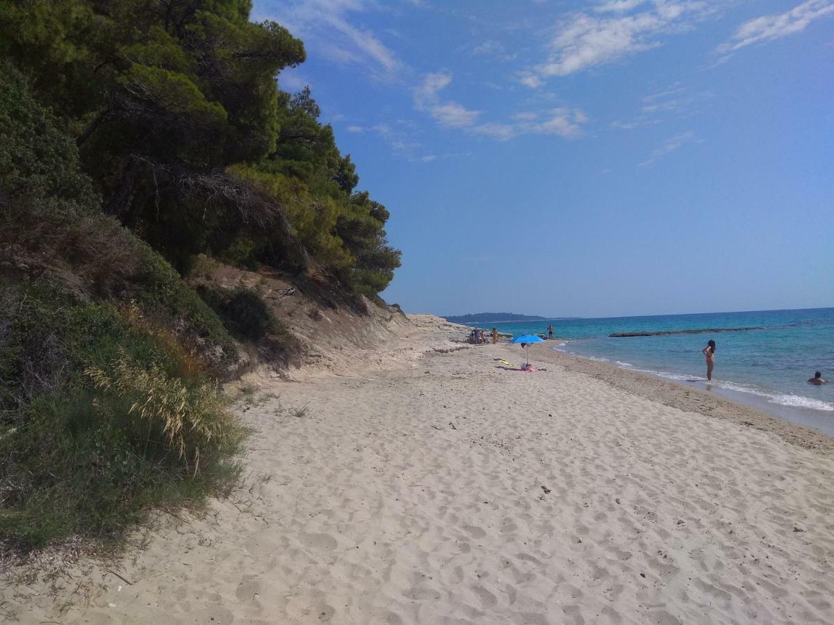 Izabella Sea Side Villa Siviri Bagian luar foto